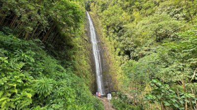 Manoa Falls eBike to Hike - Meeting at Kūhiō Beach Hula Show and finding your bike guide fast