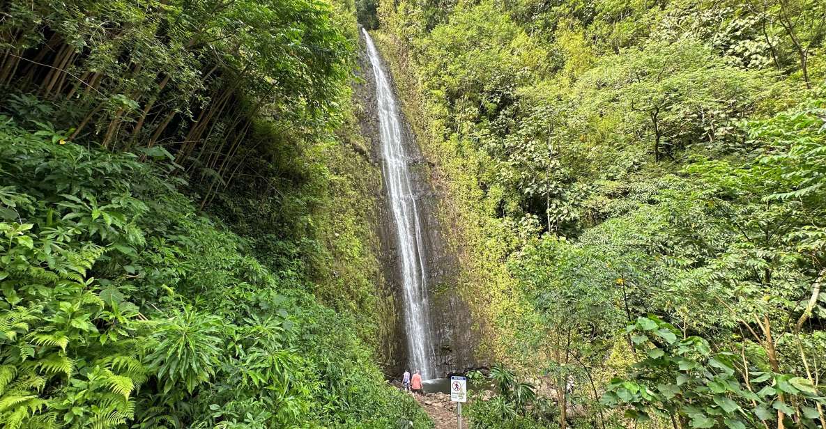 Manoa Falls eBike to Hike - The rainforest hike to Mānoa Falls: easy effort, slippery conditions