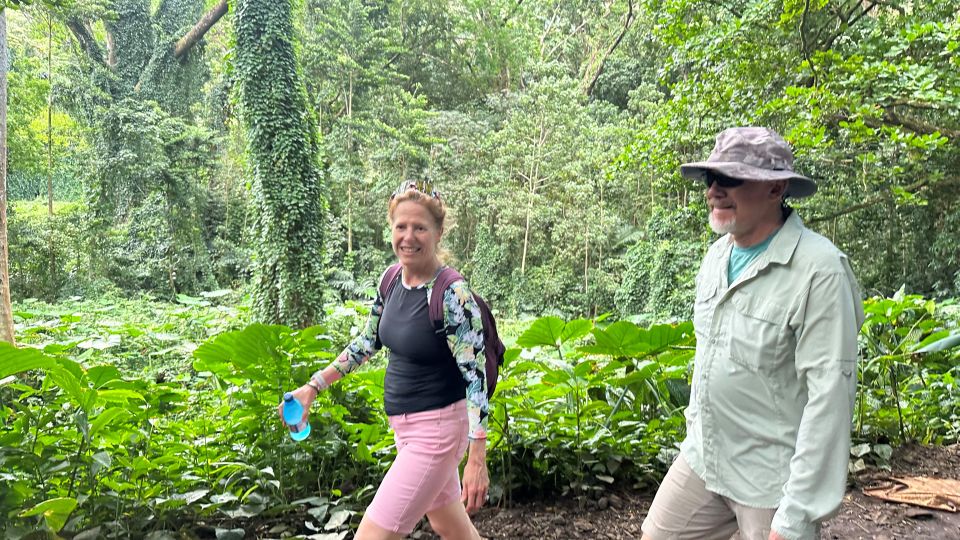 Manoa Falls eBike to Hike - Value check: is $169 for two wheels and a guided rainforest hike worth it?