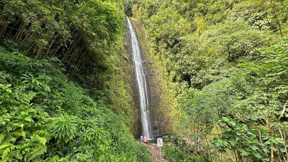 Manoa Falls eBike to Hike - Meeting at Kūhiō Beach Hula Show and finding your bike guide fast