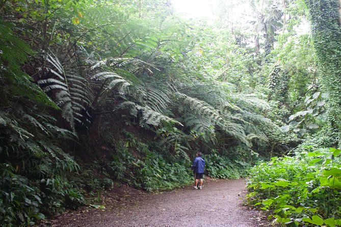 Manoa Falls Rainforest & Self-Guided Hike - Footwear and clothing: your anti-slip kit for muddy rocks
