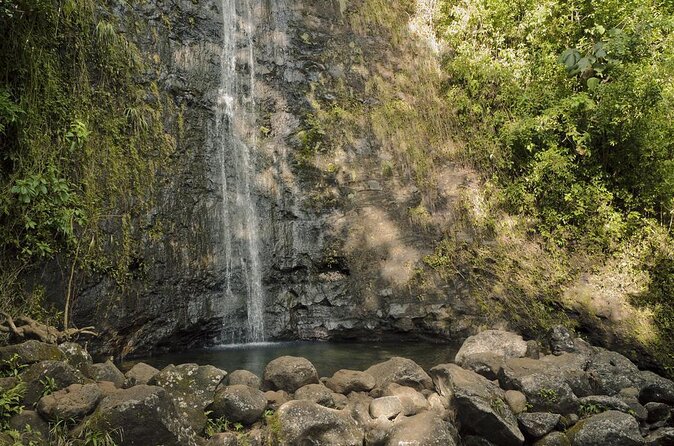 Manoa Waterfall Hike with Waikiki Pickup & Healthy Lunch - Key highlights worth your attention
