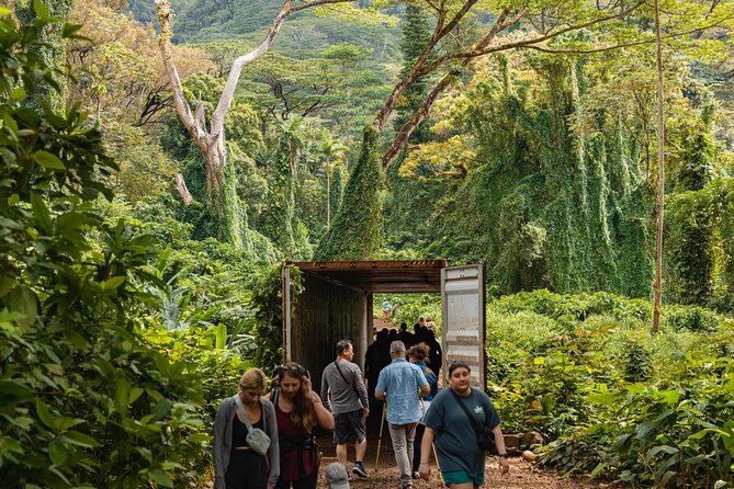 Manoa Waterfall Hike with Waikiki Pickup & Healthy Lunch - Who Should Book This Manoa Waterfall Hike (and Who Might Want a Different Option)?