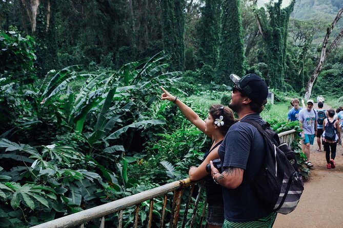 Manoa Waterfall Hike with Waikiki Pickup & Healthy Lunch - Should You Book This Manoa Waterfall Tour?