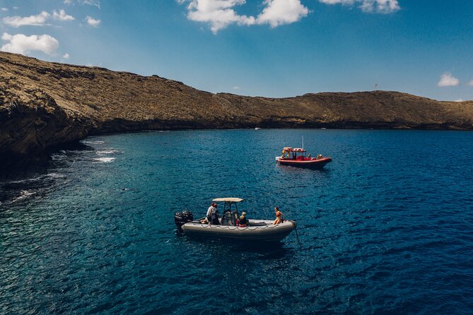 Maui: 2-Hour Molokini Snorkel Trip - Is the price worth it at about $143.93 per person?