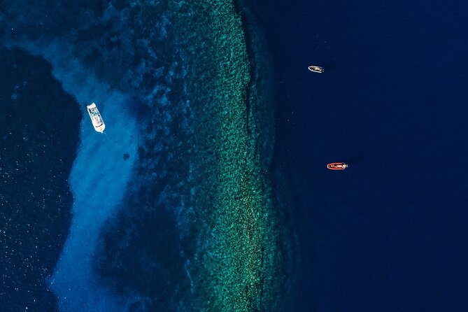 Maui: 2-Hour Molokini Snorkel Trip - Timing the 7AM vs 9:30 departures from Kihei