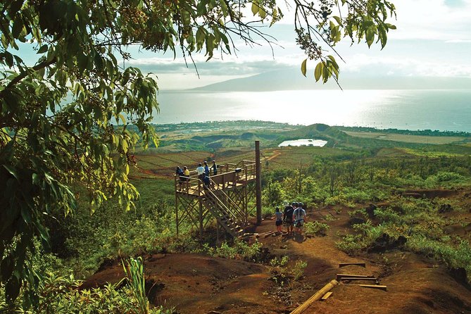 Maui 8 line Zipline Adventure: Soar above valleys & Island views - Key Highlights Worth Zooming In On