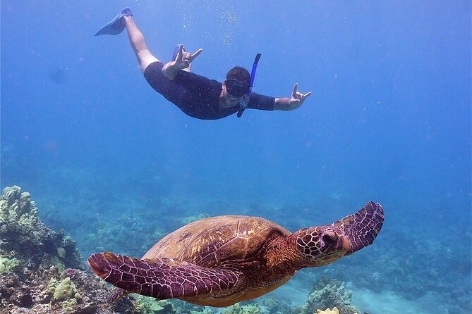 Maui Afternoon Snorkel Aboard Malolo to Molokini or Coral Gardens - Boarding and timing: what to do from check-in to first splash