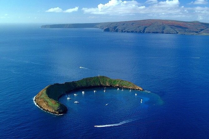 Maui Afternoon Snorkel Aboard Malolo to Molokini or Coral Gardens - Molokini vs Coral Gardens: how your captain chooses the best snorkeling that day
