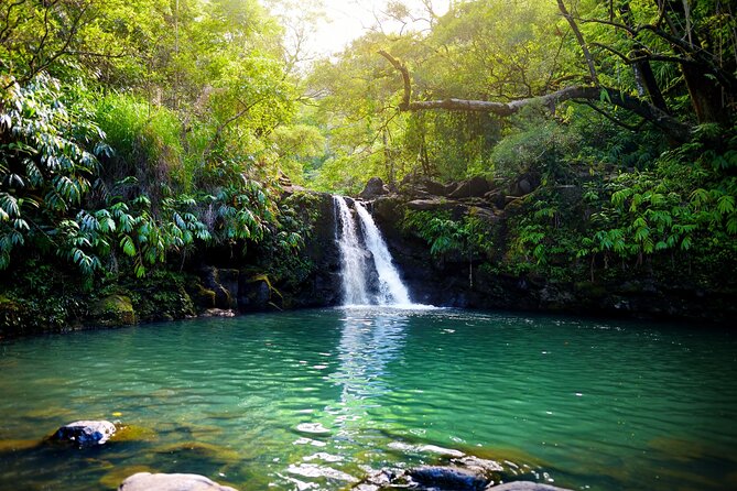 Maui Beach Parks Self-Guided Driving Tour - Why This Maui Beach Parks Drive Feels So Easy