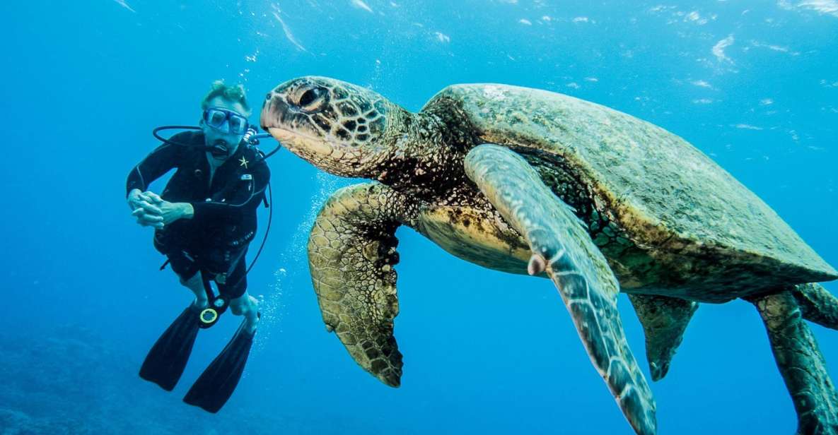 Maui: Beginner Discovery Scuba Dive Excursion from Lahaina - Key things that make this intro scuba experience work