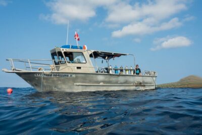 Maui: Beginner Discovery Scuba Dive Excursion from Lahaina - A clear 3-hour timeline for complete beginners