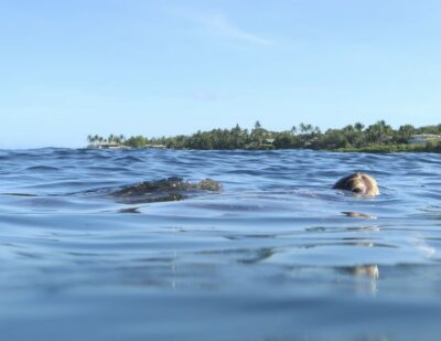 Maui: Beginner Level Private Stand-Up Paddleboard Lesson - The 2-hour rhythm: from shoreline lesson to your first real paddle