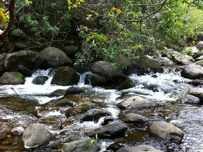 Maui: Best of Maui/Haleakala - Sips, Sites & Bites - Timing, comfort, and staying sane for a 12-hour day