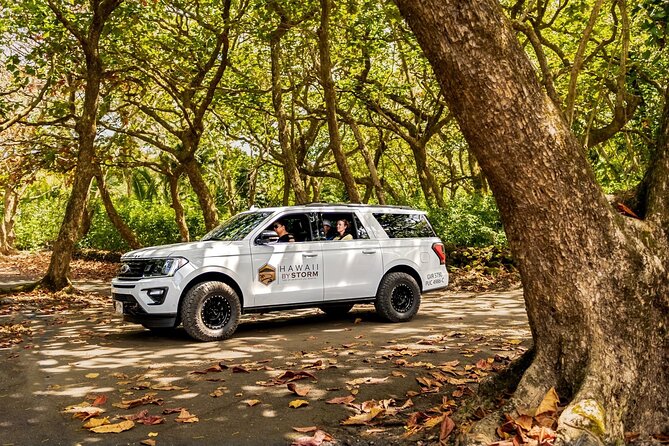 Maui by Storm: Epic Private Luxury Road to Hana Adventure Tour - Food stops on this route are not filler