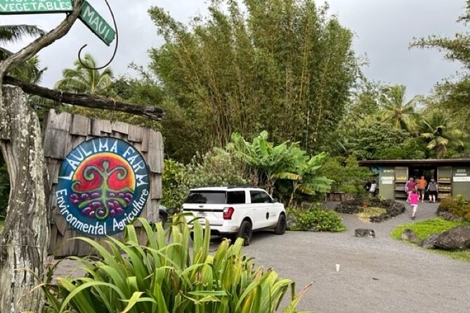 Maui by Storm: Epic Private Luxury Road to Hana Adventure Tour - Ke‘anae Point and Ho‘okipa Beach Park: ends that feel worth it