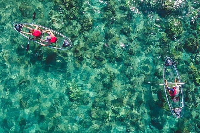 Maui Clear Kayak and Snorkel Tour: Swim with turtles (Makena) - Key Things I’d Bet You’ll Care About