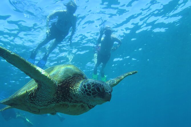 Maui Clear Kayak and Snorkel Tour: Swim with turtles (Makena) - Haleakala, Molokini, and West Maui Views While You Paddle