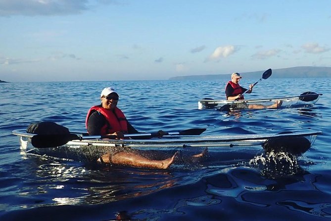 Maui Clear Kayak and Snorkel Tour: Swim with turtles (Makena) - What’s Included (and What You’ll Need to Bring)