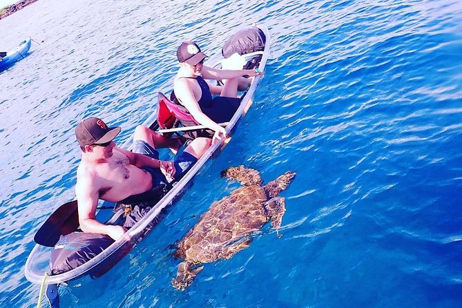 Maui Clear Kayak and Snorkel Tour: Swim with turtles (Makena) - Price and Value: Is $130 a Fair Deal?