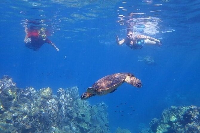 Maui Clear Kayak and Snorkel Tour: Swim with turtles (Olowalu) - Gear and comfort: what’s included and why it matters