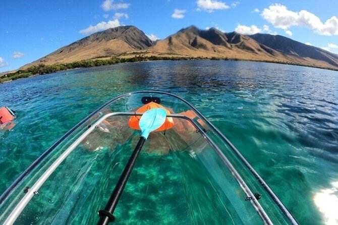 Maui Clear Kayak and Snorkel Tour: Swim with turtles (Olowalu) - Price and value: is $130 a good deal?