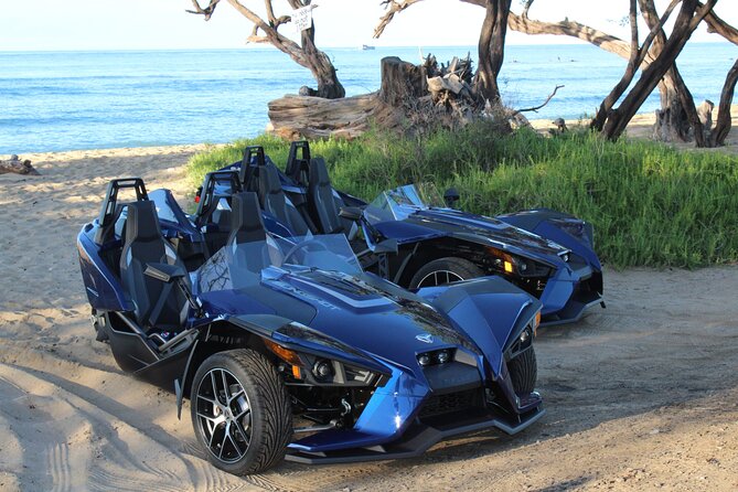 Maui Coast Slingshot Tour from Kihei - Maui Ocean Center: a good first reset before the road
