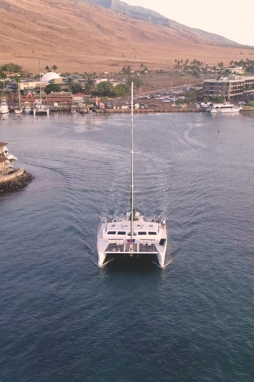 Maui: Deluxe Molokini Snorkel with Breakfast & Lunch - The Second Stop: Turtle Town in Summer, Whale Watching in Winter