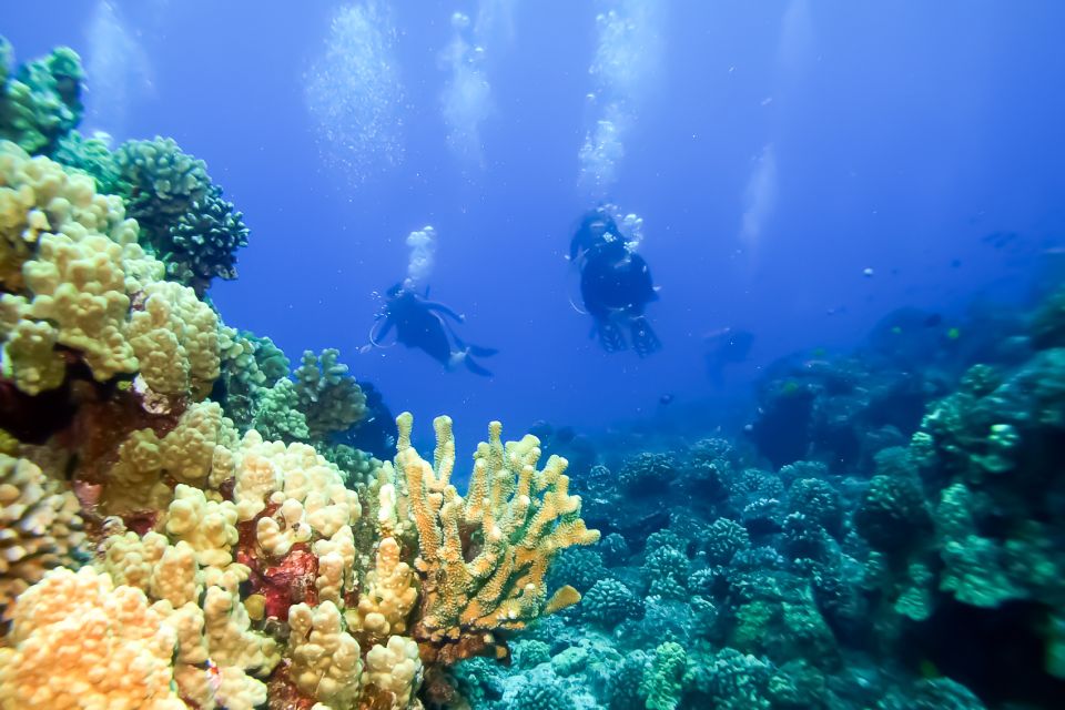 Maui: Eco-Friendly Molokini & Turtle Town Tour with Meals - Meals included at sea: breakfast before sailing, grilled lunch after snorkeling