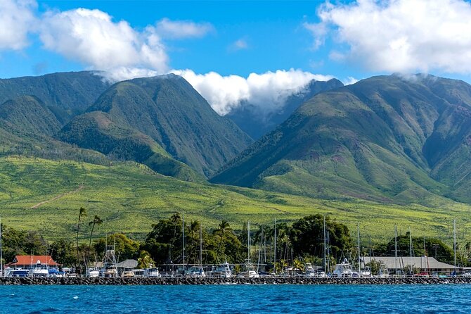 Maui Eco-Raft: 2 Hour Dolphin Watch Sightsee Tour (Semi-Private) - Snacks, drinks, and the optional lunch upgrade