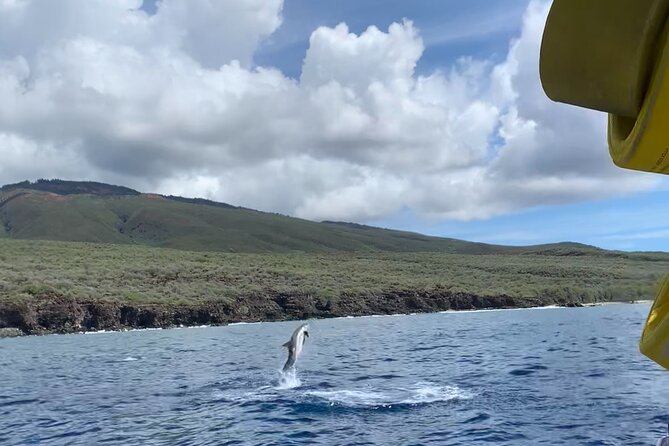 Maui Eco-Raft: 2 Hour Dolphin Watch Sightsee Tour (Semi-Private) - Weather, reef-safe sunscreen, and the day-of reality