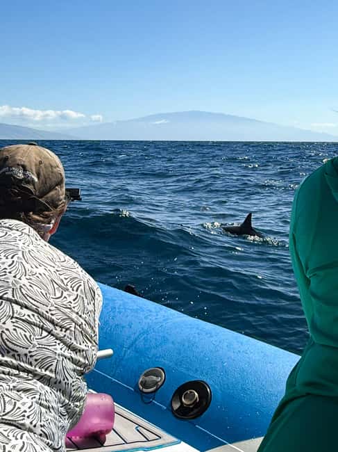 Maui: Eco-Raft Dolphin Watch Tour with Snacks - Key Things to Know Before You Go