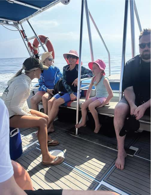 Maui: Eco-Raft Dolphin Watch Tour with Snacks - The 2-Hour On-Water Flow: What Happens on the Coast Cruise