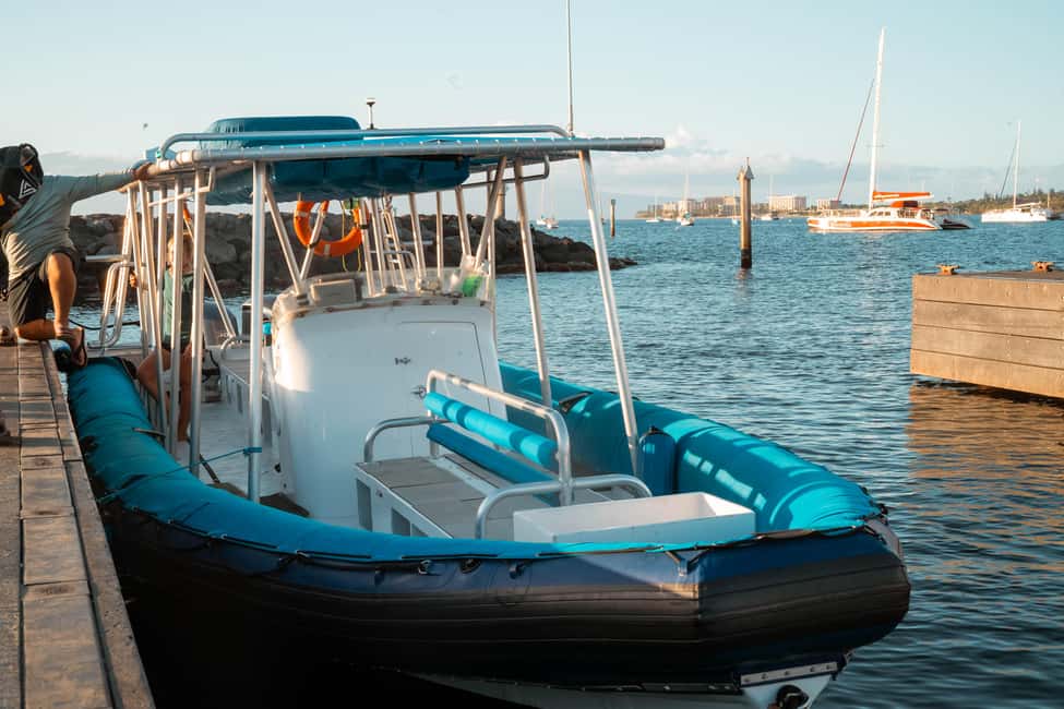 Maui: Eco-Raft Dolphin Watch Tour with Snacks - Price and Value for a $96, 2-Hour Semi-Private Tour