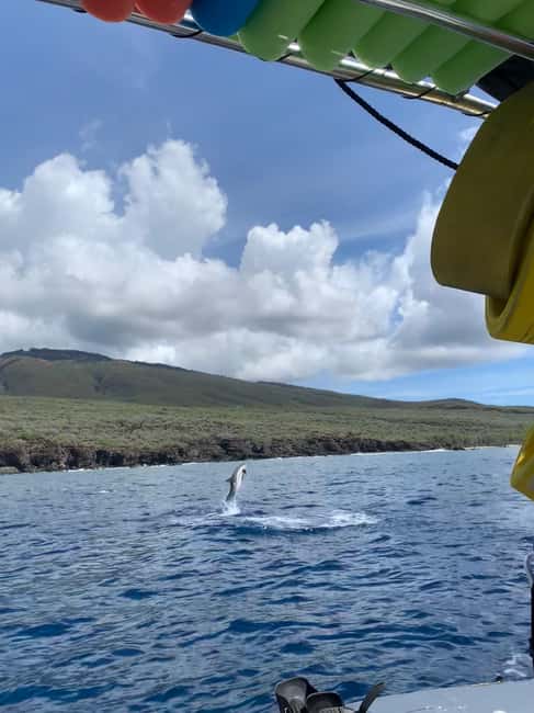 Maui: Eco-Raft Dolphin Watch Tour with Snacks - Practical Notes: Meeting Point, Timing, and Simple Rules