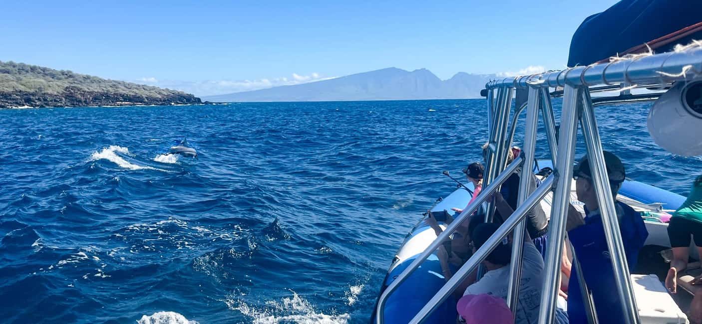 Maui: Eco-Raft Dolphin Watch Tour with Snacks - How the Dolphin Watching Actually Works Here