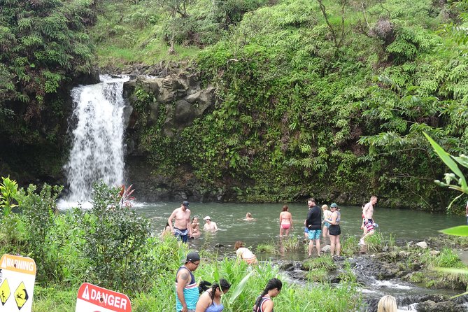 Maui: Famous Road to Hana Waterfalls and Lunch by Mercedes Van - Twin Falls and the less-crowded Haipua‘ena pool stop