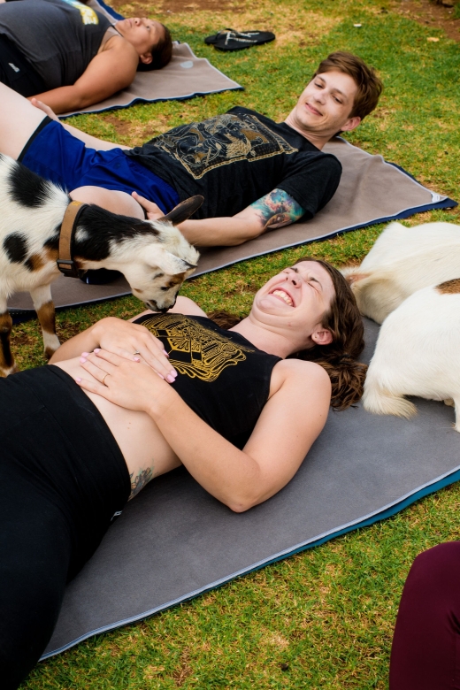 Maui Goat Yoga with Miniature Goats - Coastal Ambience: Where the Views Do Half the Relaxing