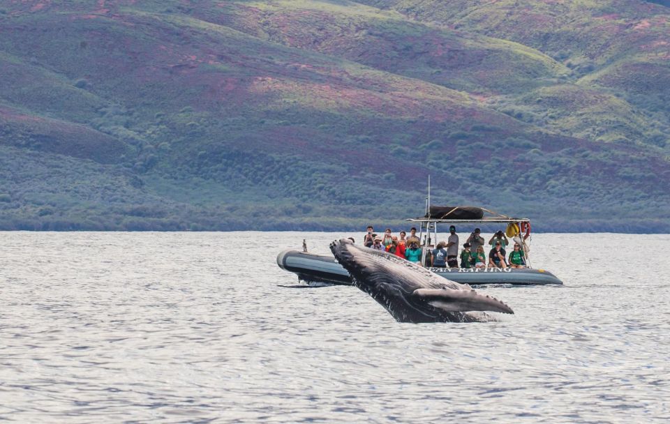 Maui: Guided Whale Watching Tour on Eco Raft - The Hydrophone Part: Hearing Whale Communication Underwater