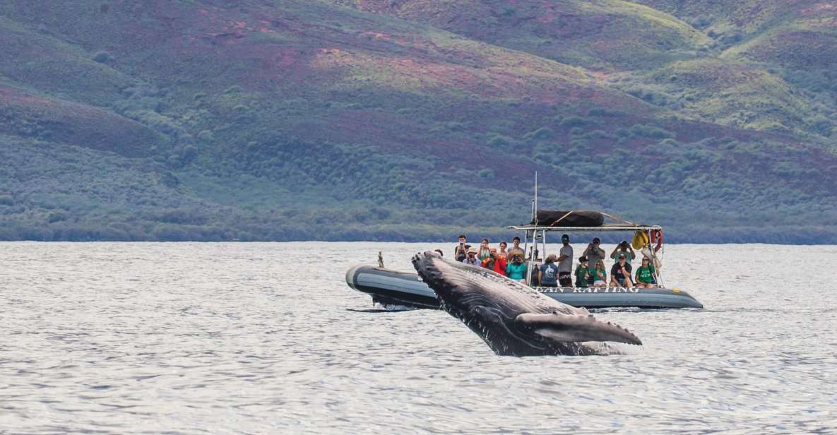 Maui: Guided Whale Watching Tour on Eco Raft - Snacks, Water, and the Friendly “Ocean Vacation” Feel