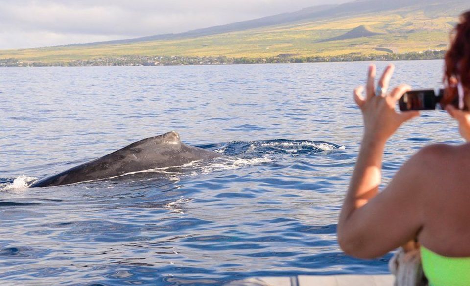 Maui: Guided Whale Watching Tour on Eco Raft - Staying Dry on a Raft That May Still Get Wet