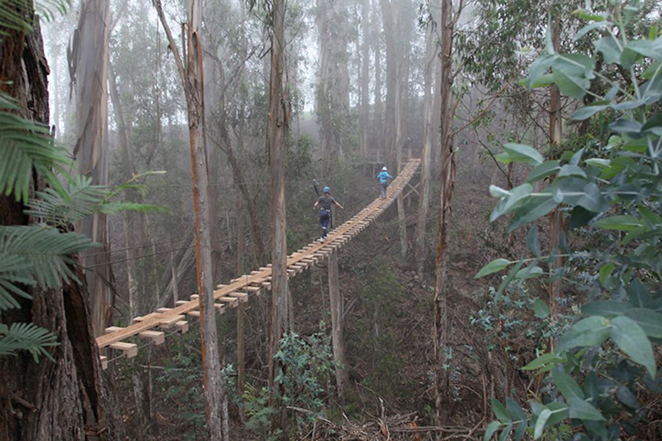 Maui: Haleakala 6-Line Zipline Adventure - Key highlights worth your attention