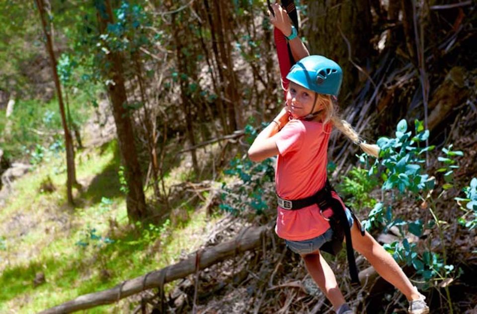 Maui: Haleakala 6-Line Zipline Adventure - Your 2-hour flow: hike in, gear up, then line after line