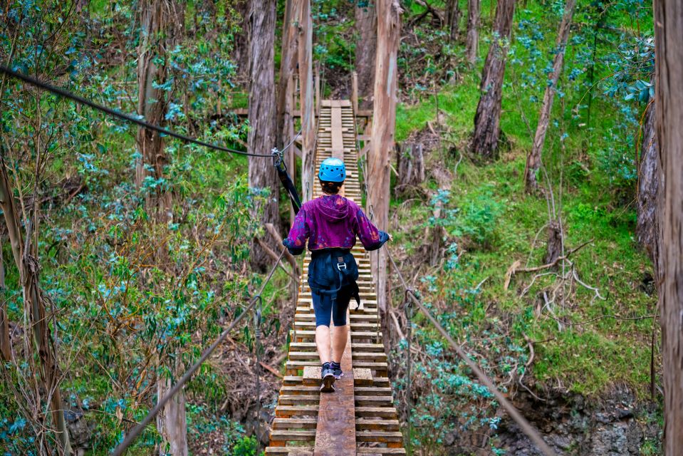 Maui: Haleakala 6-Line Zipline Adventure - Price and value: is $147 worth it for a 2-hour day?