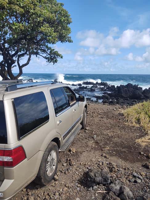 Maui: Halfway to Hana Black Sand Beach & Turtles Tour - Key highlights that make this tour worth your time