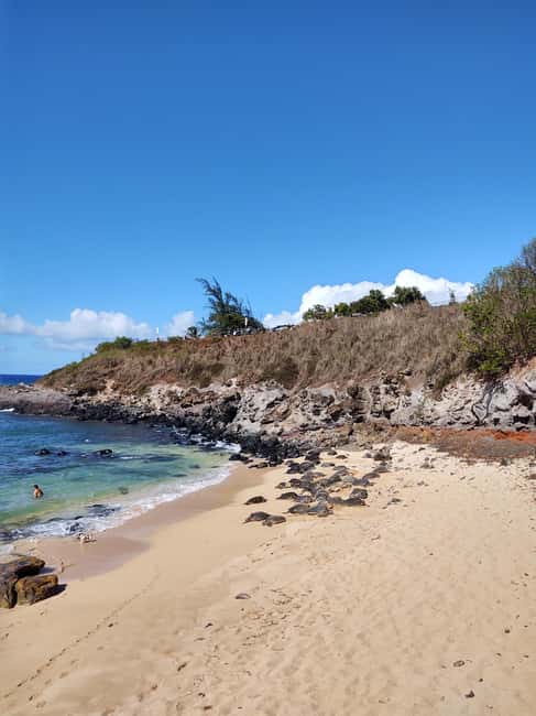 Maui: Halfway to Hana Black Sand Beach & Turtles Tour - Stop by stop: from Rainbow Eucalyptus to turtle time