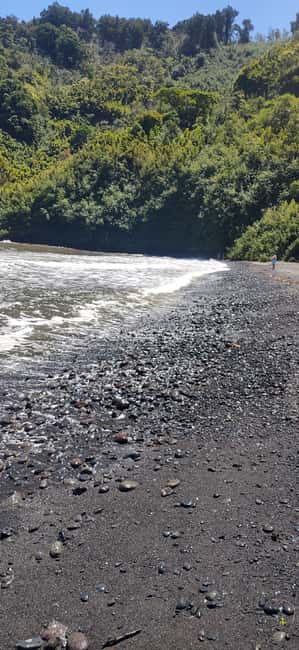 Maui: Halfway to Hana Black Sand Beach & Turtles Tour - The guide and the learning factor: how the day feels in motion