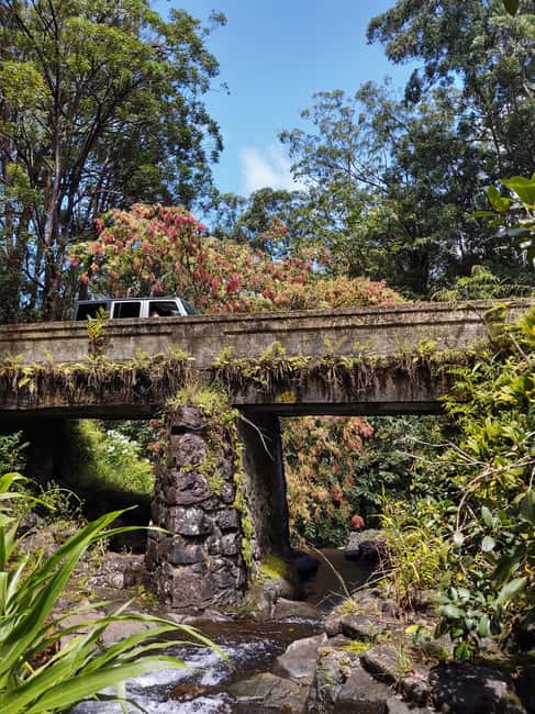 Maui: Halfway to Hana Black Sand Beach & Turtles Tour - Price and value: is $199 fair for a 6.5-hour small-group Hana run?