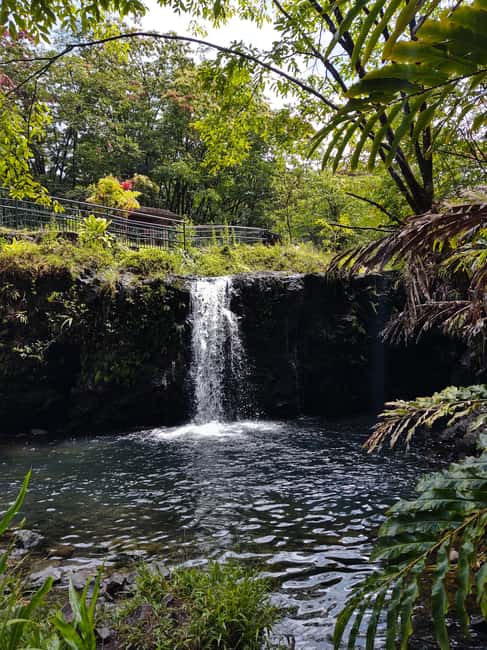 Maui: Halfway to Hana Black Sand Beach & Turtles Tour - Your ride matters on Maui: Lincoln Navigator comfort on tight roads