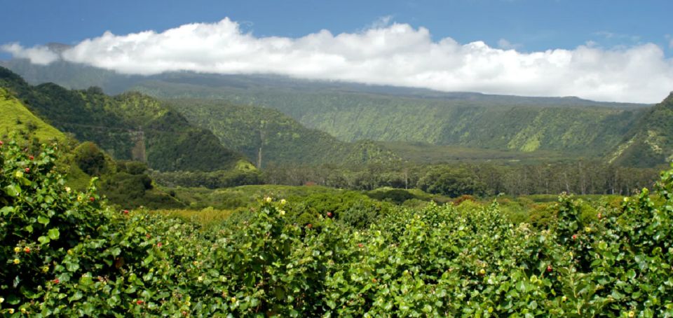 Maui: Hana Hiking Tour with Lunch - Hana Highway to East Maui: a long drive that actually pays off